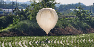 Ein Ballon, an dem ein schwarzer Plastiksack hängt, landet in einem Reisfeld