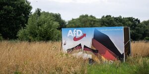 Ein Wahlplakat der AfD mit Deutschlandfahnen