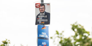 Wahlplakat der AfD.