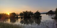 Die über die Ufer getretene Donau im Sonnenuntergang