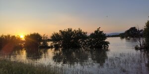 Die über die Ufer getretene Donau im Sonnenuntergang