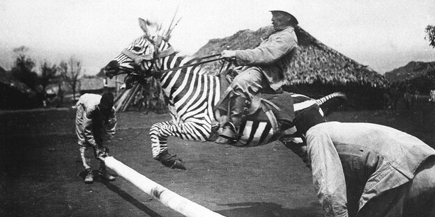 'Ein gezaehmtes Zebra im Sprunge bei der deutschen Schutztruppe in Ostafrika.' , vermutlich um 1910er Jahre - Erschienen in: 'Berliner Illustrirte Zeitung' 41/1910