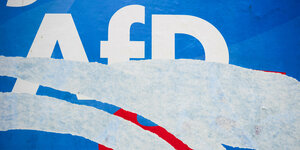 Ein beschädigtes Wahlplakat der AfD