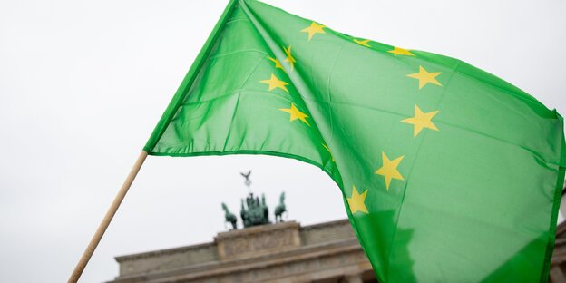 Das Foto zeigt eine Europaflagge vor dem Brandenburger Tor, die aber nicht wie üblich blau, sondern grün ist.