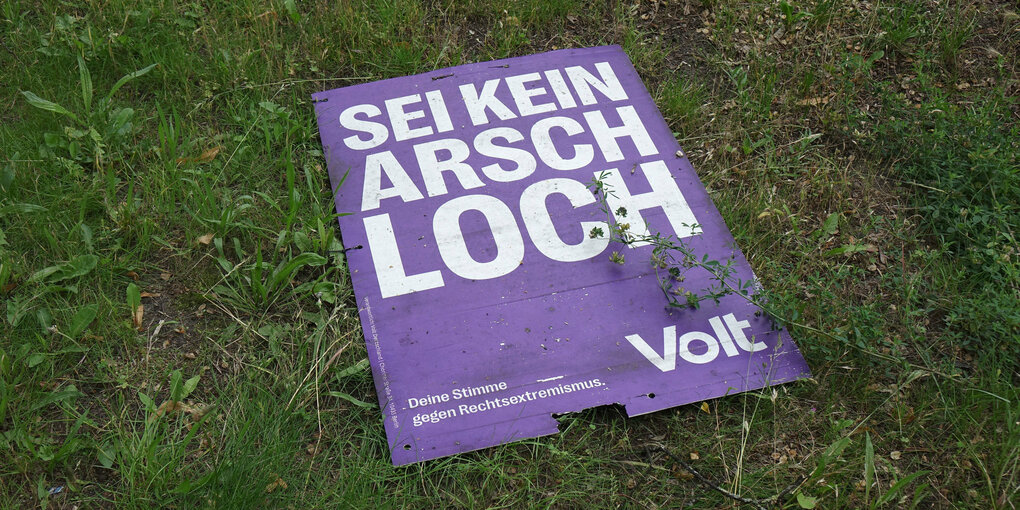 Ein Wahlplakat liegt im Gras.