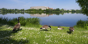 Die Kongresshalle am Teich mit Gänsen im Vordergrund