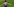 Ilkay Gündogan jubelt