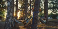 Auf einem Festival hängen Hängematten zwischen Bäumen in der untergehenden Sonne
