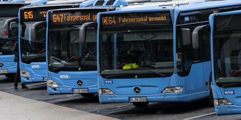 Nahverkehrsbusse auf einem Parkplatz.