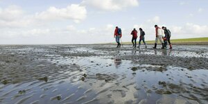 Gruppe von Menschen spaziert im Wattenmeer.