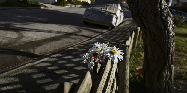 Gänseblümchen stecken in einem Zaun am Straßenrand