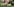 Ein Spieler der ungarischen Mannschaft liegt verletzt auf dem Spiel-Rasen und wird von Sanitätern behandelt