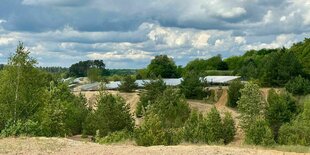 Solarpanele hinter Gebüsch und Sand