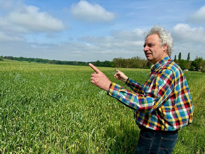 Mann in kariertem Hemd zeigt auf Feld