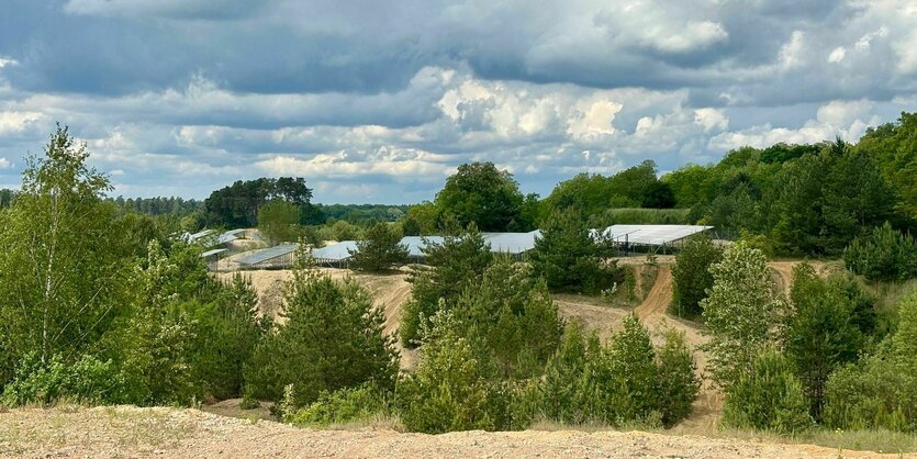 Solarpanele hinter Gebüsch und Sand