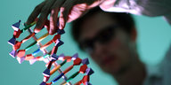 Mann hält ein DNA-Modell in der Hand