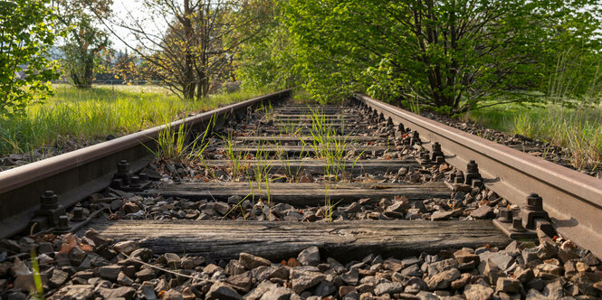 Die Bahnstrecke von Bautzen nach Bad Schandau steht symbolisch für zahlreiche Bahnverbindungen im Osten, die seit der Wiedervereinigung stillgelegt wurden. Oft wurde dies mit geringer Fahrgastnachfrage begründet.