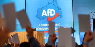 Auf dem Landesparteitag der AfD wird über einen Antrag abgestimmt.