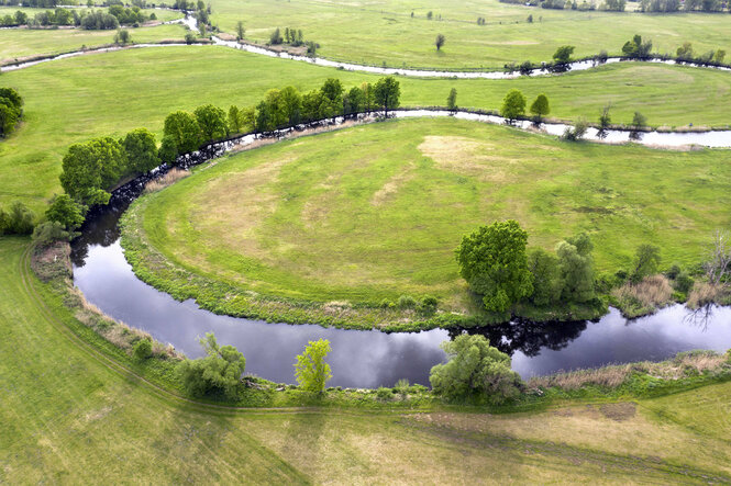 Mäandrierende Spree in grüner Landschaft