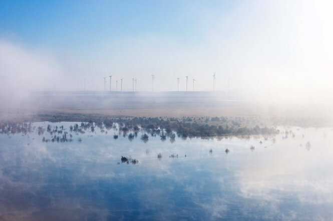 Nebel zieht an einem frostigen Herbstmorgen über den Cottbuser Ostsee bei Merzdorf Cottbus in der brandenburgischen Lausitz