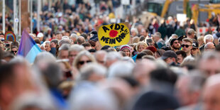 "AfD? NEIN DANKE " ist auf einem Plakat bei einer Demonstration gegen rechts in Würzburg zu lesen.