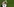 Toni Kroos schaut in die Ferne und zeigt Kollege Andrich etwas