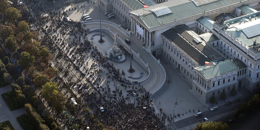 Demonstraton vor dem Parlament in Wien