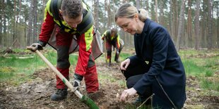 Manja Schreiner pflanzt Laubbaum