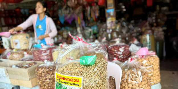 Insekten als Nahrung zum Verkauf auf einem Markt in Thailand