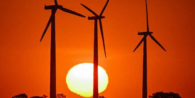 Windräder im Sonnenuntergang