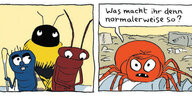 Zwei Comic-Panels. Links sind eine Hummel, ein Glühwürmchen und eine Fliege zu sehen, rechts fragt eine rote Spinne, was die Insekten „sonst so machen“..