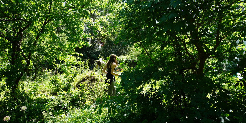 Eine Frau im Permakulturgarten in Neukölln