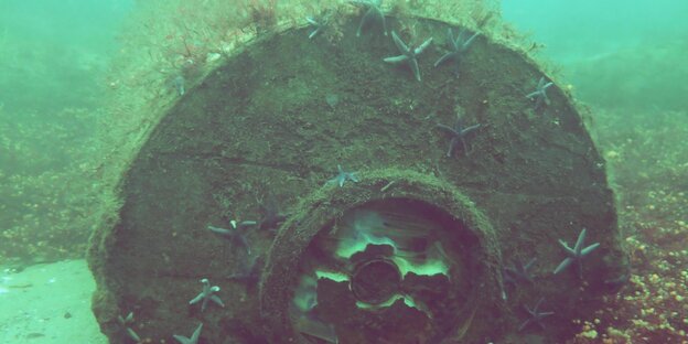 Ein großes Rundes Gebilde aus Metall liegt voller Algen und Seesternen auf dem Meeresboden