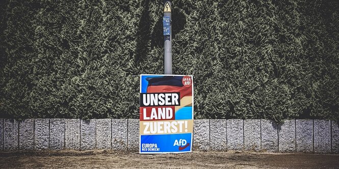 Ein AfD-Wahlplakat zur Europawahl ist aneinen Schildermasten gelehnt