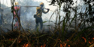 zwei Feuerwehrleute versuchen, mit einem Schlauch auf ihren Schultern einen Brand im Wald zu löschen