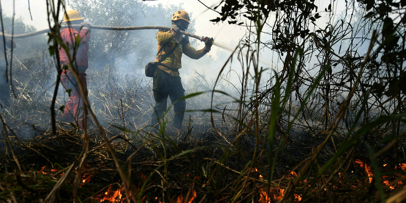 zwei Feuerwehrleute versuchen, mit einem Schlauch auf ihren Schultern einen Brand im Wald zu löschen