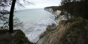 Kreidefelsen auf Rügen.