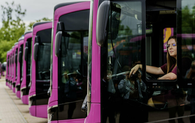 Eine Reihe pinker Busse, im vordersten sitzt eine Fahrerin