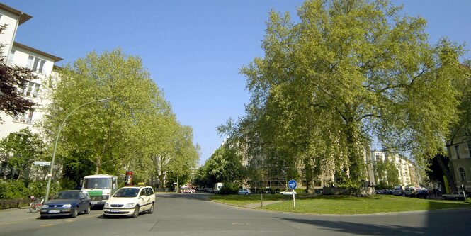 Platz mit Bäumen und einigen Autos