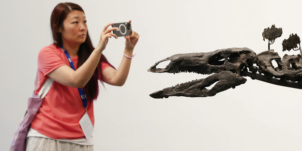 Frau fotografiert Dinosaurier-Skelett