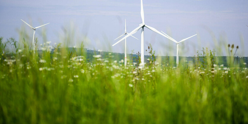 Windräder auf grünem Feld