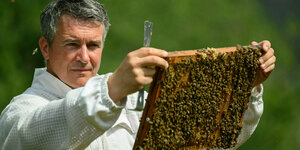 Eine Person hält Bienenwaben in seinen Händen