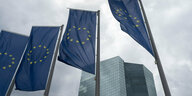 EU-Flaggen wehen vor der EZB-Zentrale in Frankfurt am Main im Wind