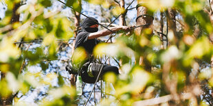 Aktivist*innen haben in der Nacht vom 12. auf den 13.05.2023 aus Protest gegen den Bau der Tangentialverbindung Ost (TVO) ein Waldstück in der Berliner Wuhlheide besetzt.