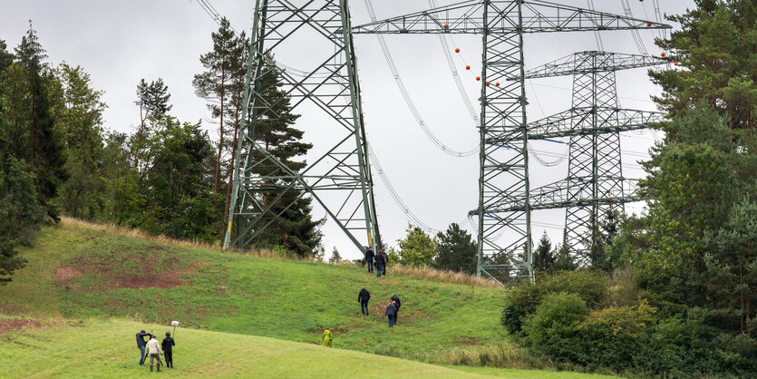 Klein sehen die Menschen aus im Vergleich zu den Strommasten im Thüringer Wald.