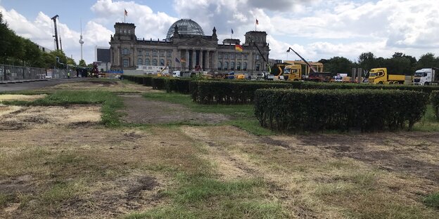 Eine vertrocknete Wiese vor dem Berliner Reichstag
