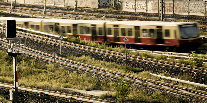 Eine S-Bahn fährt von dem S-Bahnhof Ostkreuz. Die angestrebte Verlängerung von S-Bahn-Linien am Stadtrand und ins Berliner Umland geht in eine neue Phase.