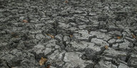 ausgetrockneter, rissiger Boden durch Dürre in simbabwe