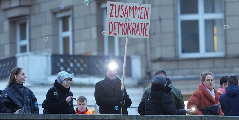 5 Menschen stehen an einem Geländer an der Außenalster in Hamburg, sie sind Teil einer Demo. Einer trägt ein Schild mit der Aufschrift "Zusammen für Demokratie"