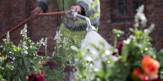 Ein Mann in Arbeitskleidung gießt Blumen mit einem Schlauch